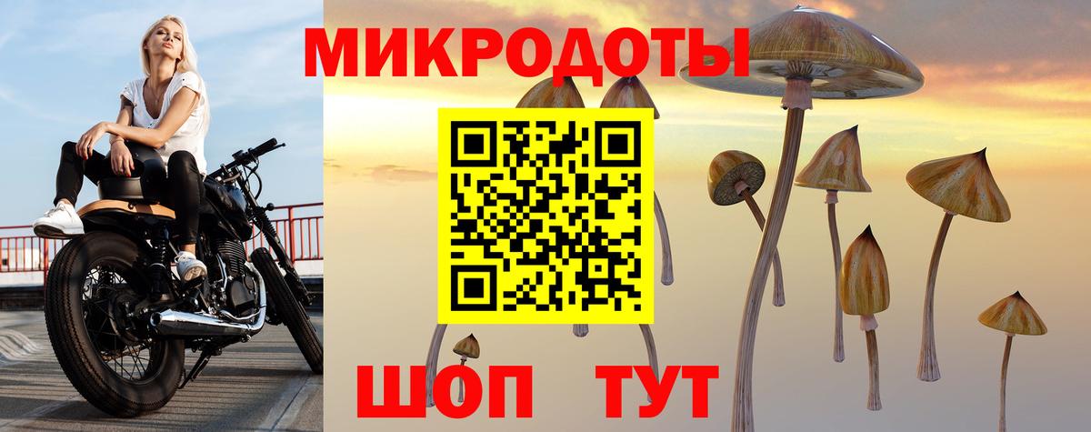 Галлюциногенные грибы MAGIC MUSHROOMS  Вход с VPN  Кизилюрт  Псилоцибиновые грибы ЛСД 